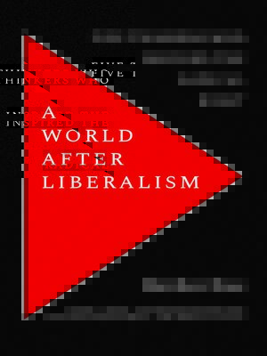 cover image of A World after Liberalism